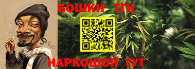 твердый Будённовск