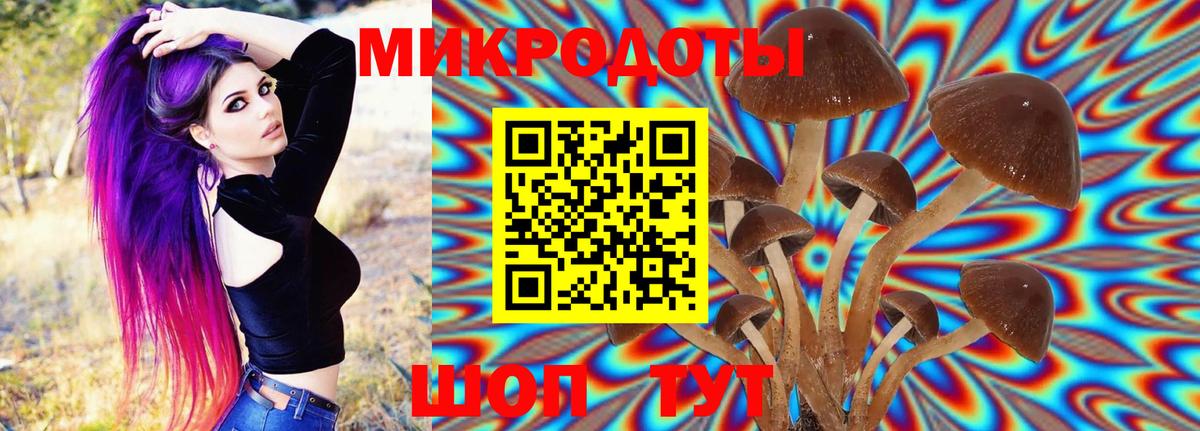 Псилоцибиновые грибы мухоморы Ликино-Дулёво